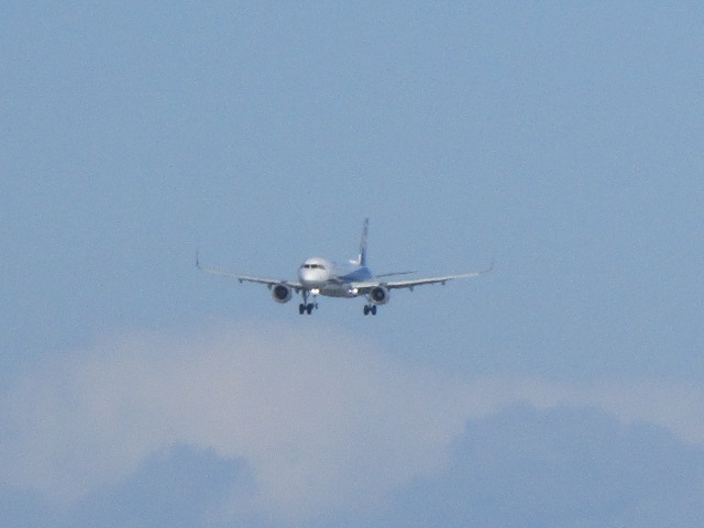 20250303_144655.JPG