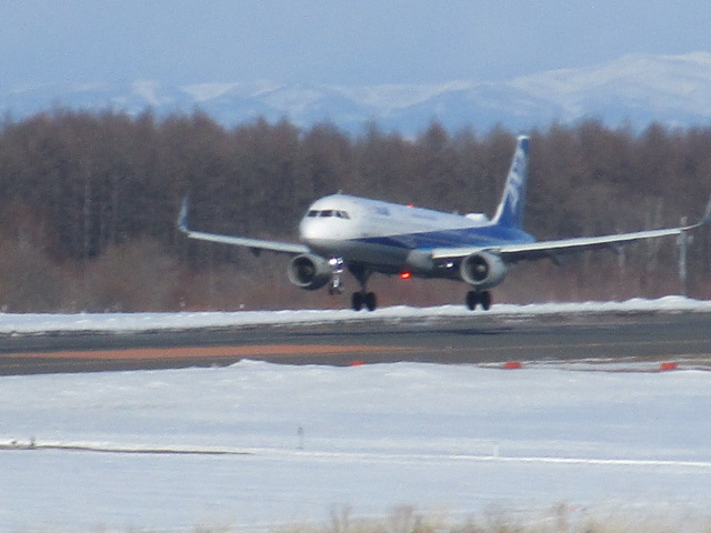 20250303_144718.JPG