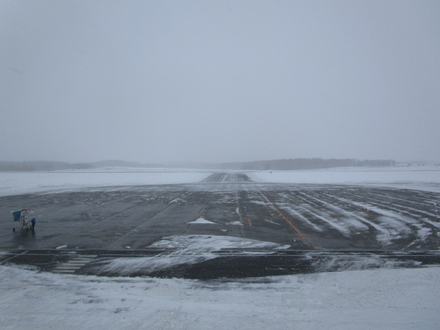 20250306_111537.JPG