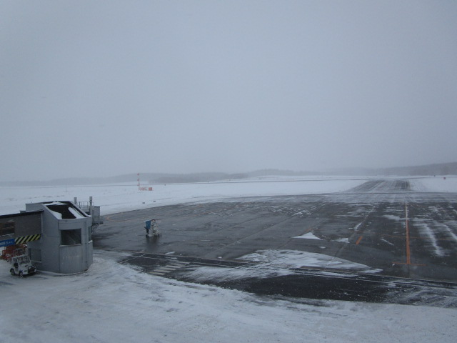 20250306_111555.JPG