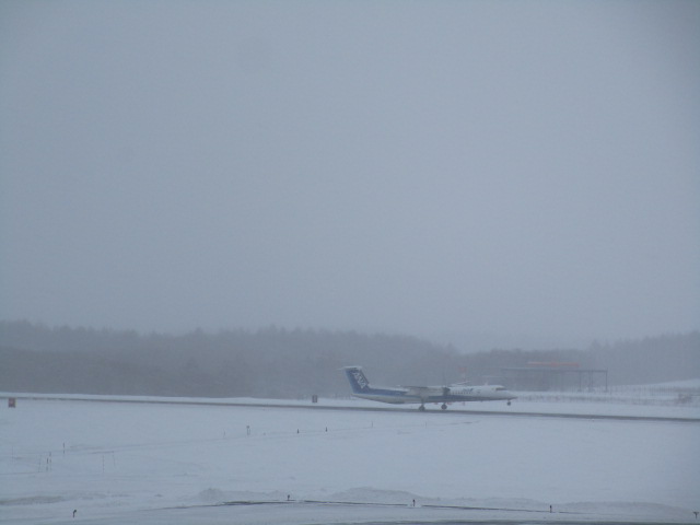 20250306_113054.JPG
