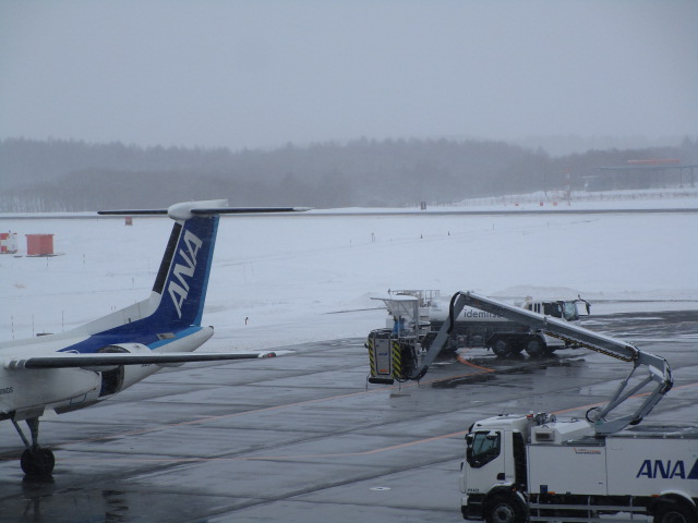20250306_113113.JPG