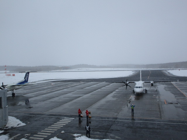 20250306_113301.JPG