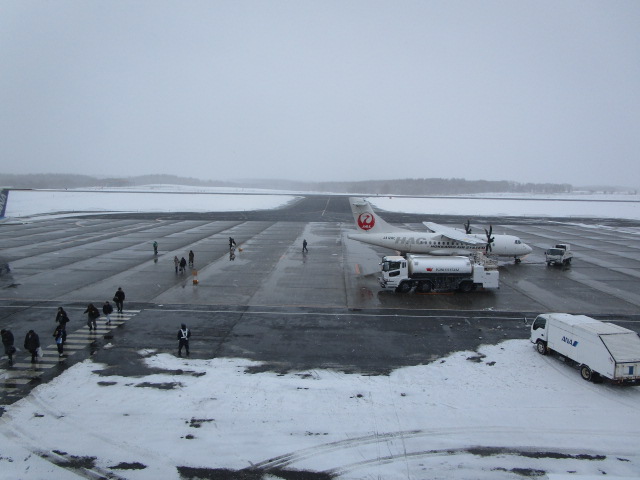 20250306_113330.JPG