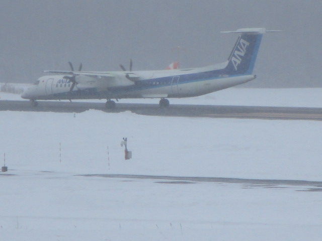 20250306_113409.JPG