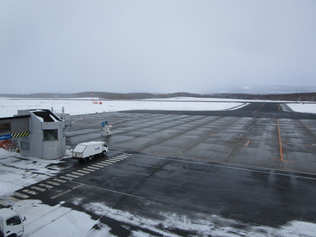 20250307_102051.JPG