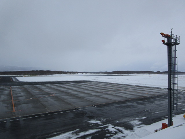 20250307_102117.JPG