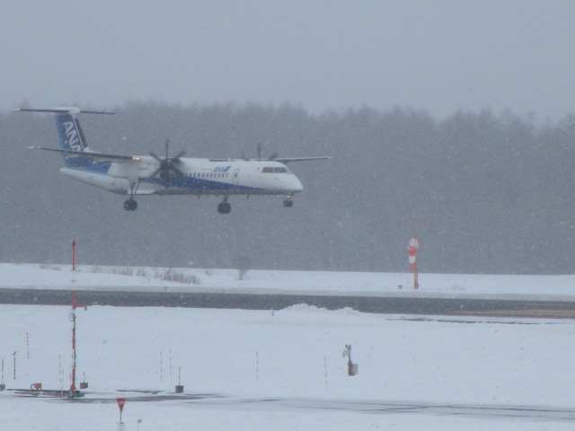 20250307_102220.JPG