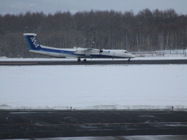20250307_102251.JPG