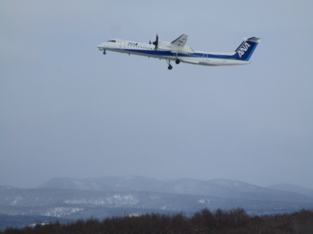 20250307_102436.JPG