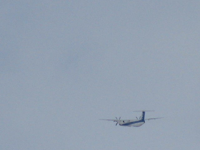 20250307_102533.JPG