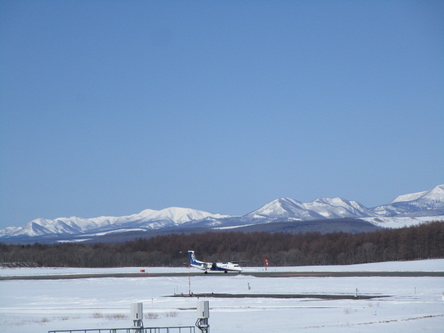 20250310_110236.JPG