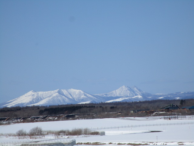 20250310_110700.JPG
