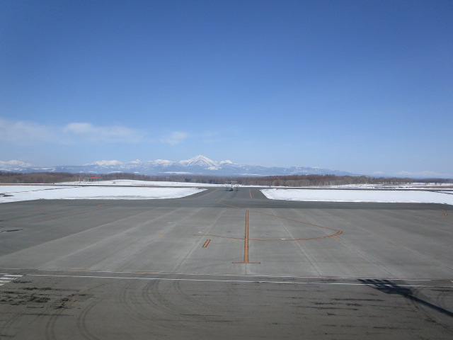20250311_095354.JPG