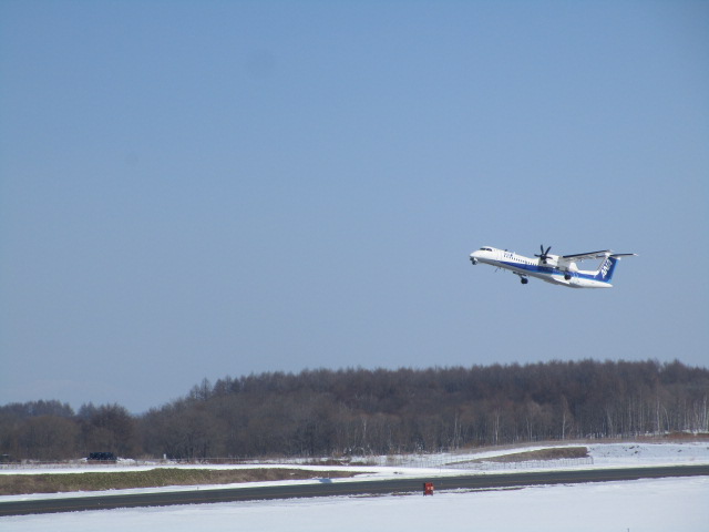 20250311_095551.JPG