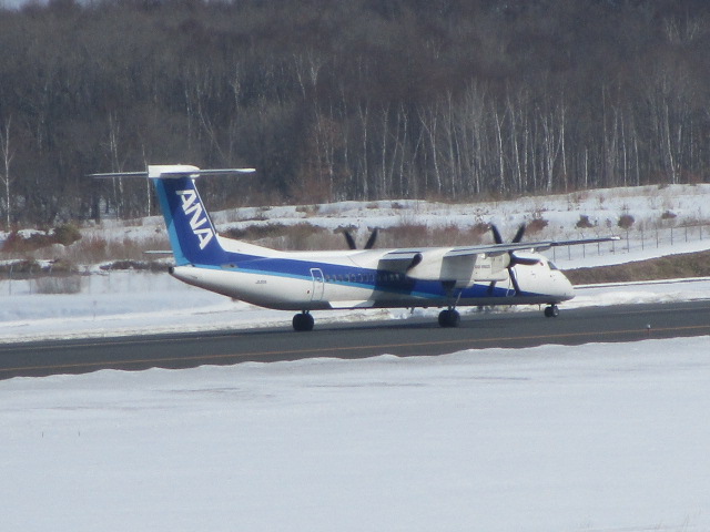 20250312_095924.JPG