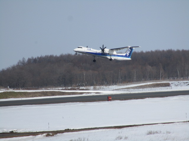 20250312_095947.JPG