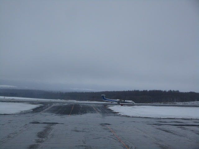 20250313_110043.JPG