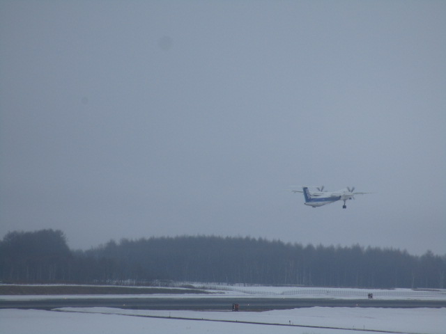 20250313_110114.JPG