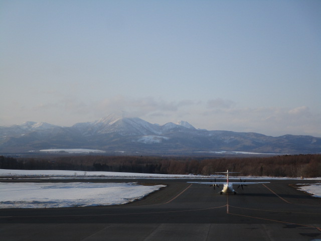 20250313_164934.JPG