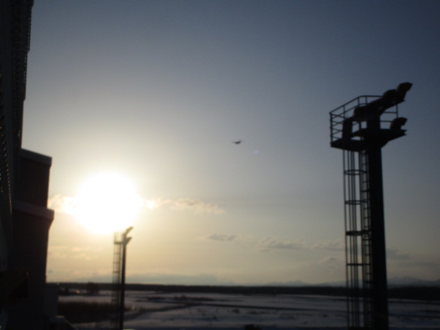20250313_165039.JPG
