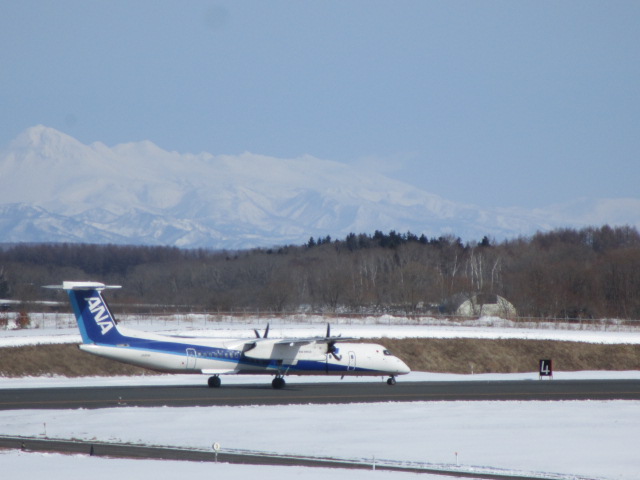 20250316_102138.JPG