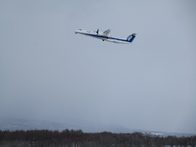 20250318_104353.JPG