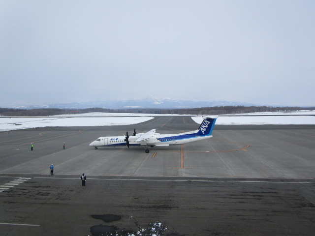 20250321_095801.JPG