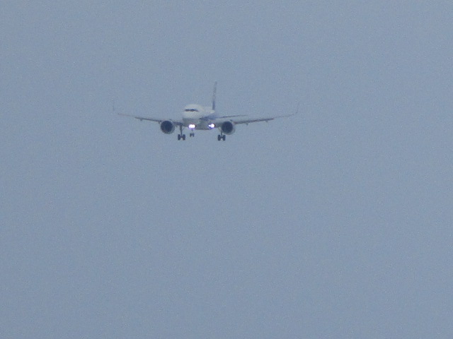 20250321_153626.JPG