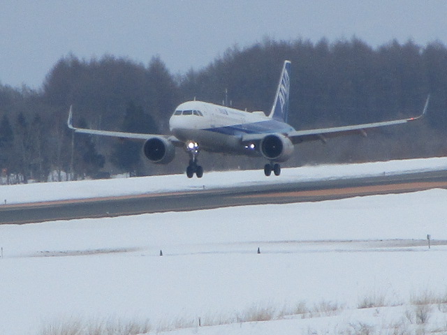 20250321_153647.JPG