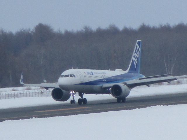 20250321_153707.JPG