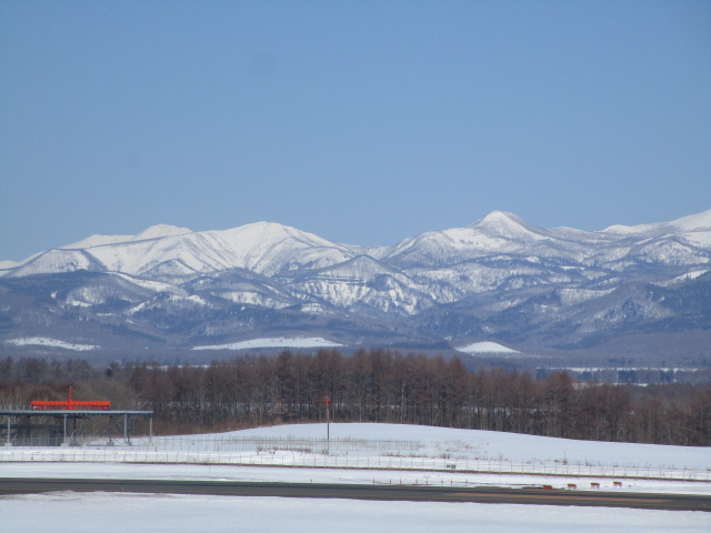 20250324_093816.JPG