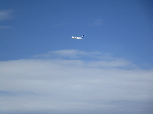 20250324_094412.JPG