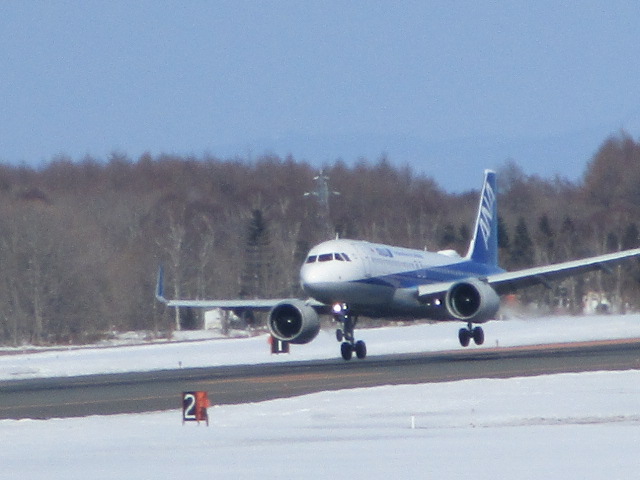 20250324_170423.JPG