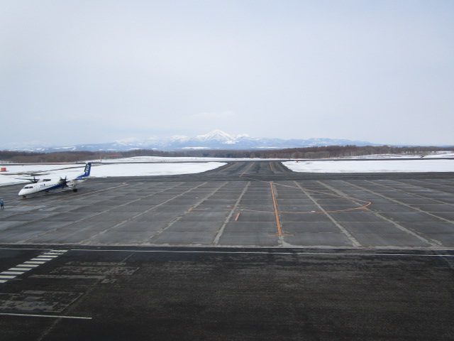 20250325_095336.JPG