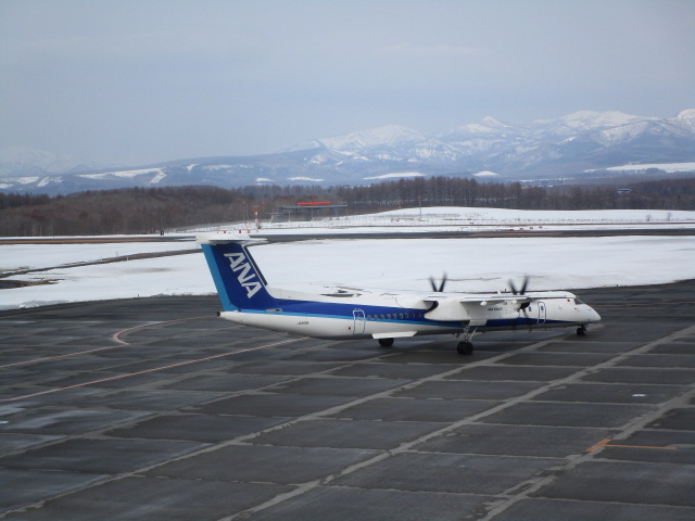 20250325_095524.JPG