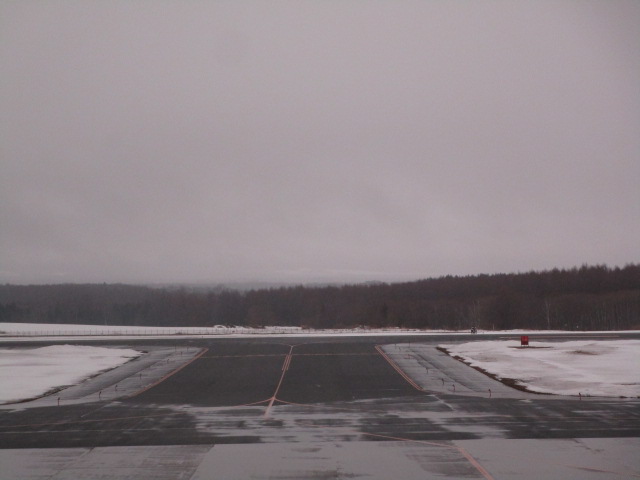 20250326_095958.JPG