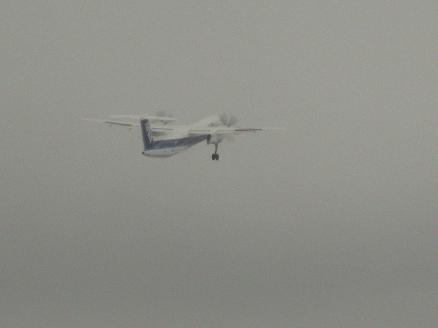20250326_100507.JPG