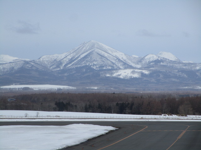 20250327_094406.JPG