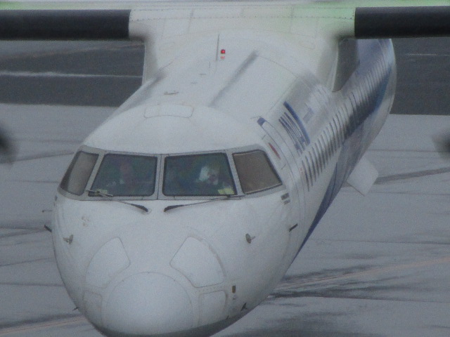 20250328_105450.JPG