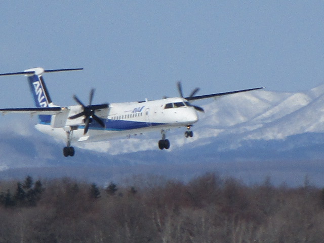 20250330_094510.JPG