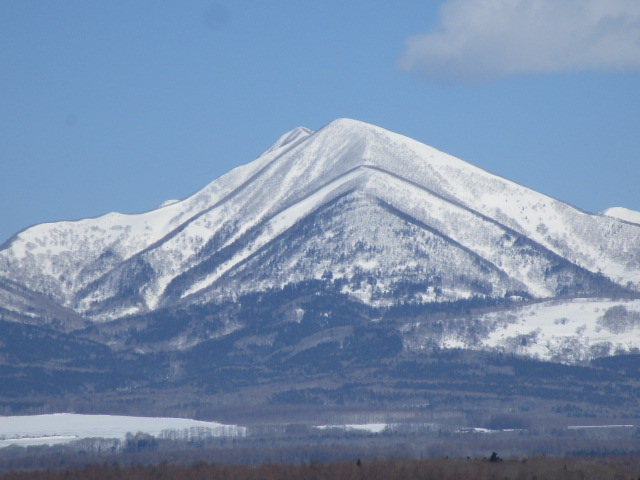 20250331_095110.JPG