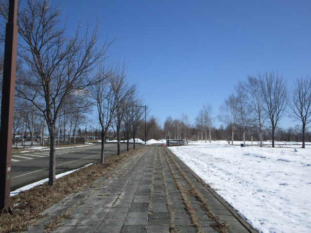 20250331_100810.JPG