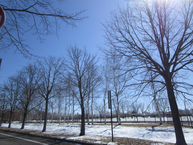 20250331_100845.JPG