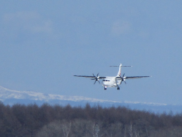 20250331_152205.JPG