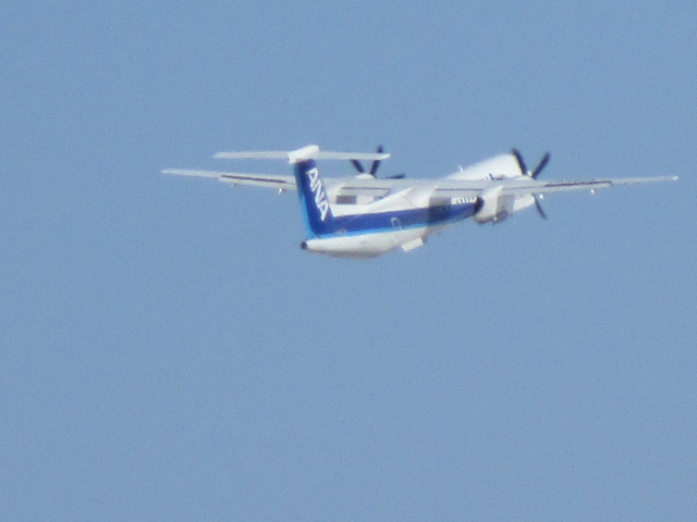 20250401_102533.JPG