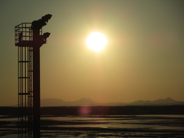 20250402_134536.JPG