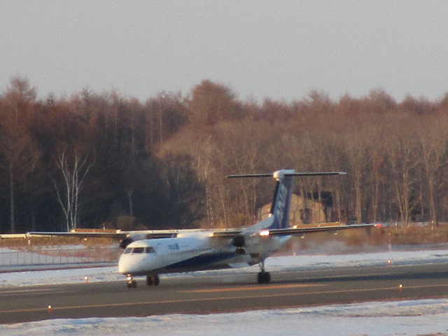 20250402_134716.JPG