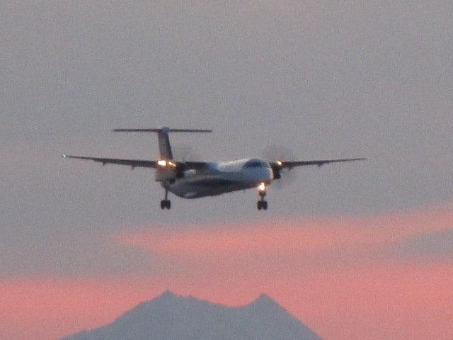20250405_175658.JPG