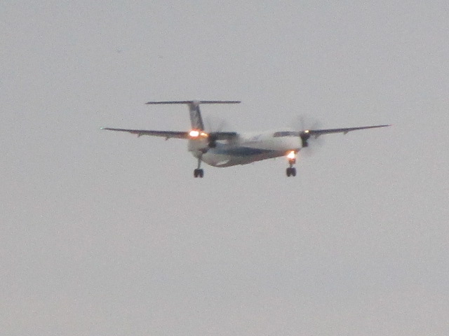 20250406_171904.JPG